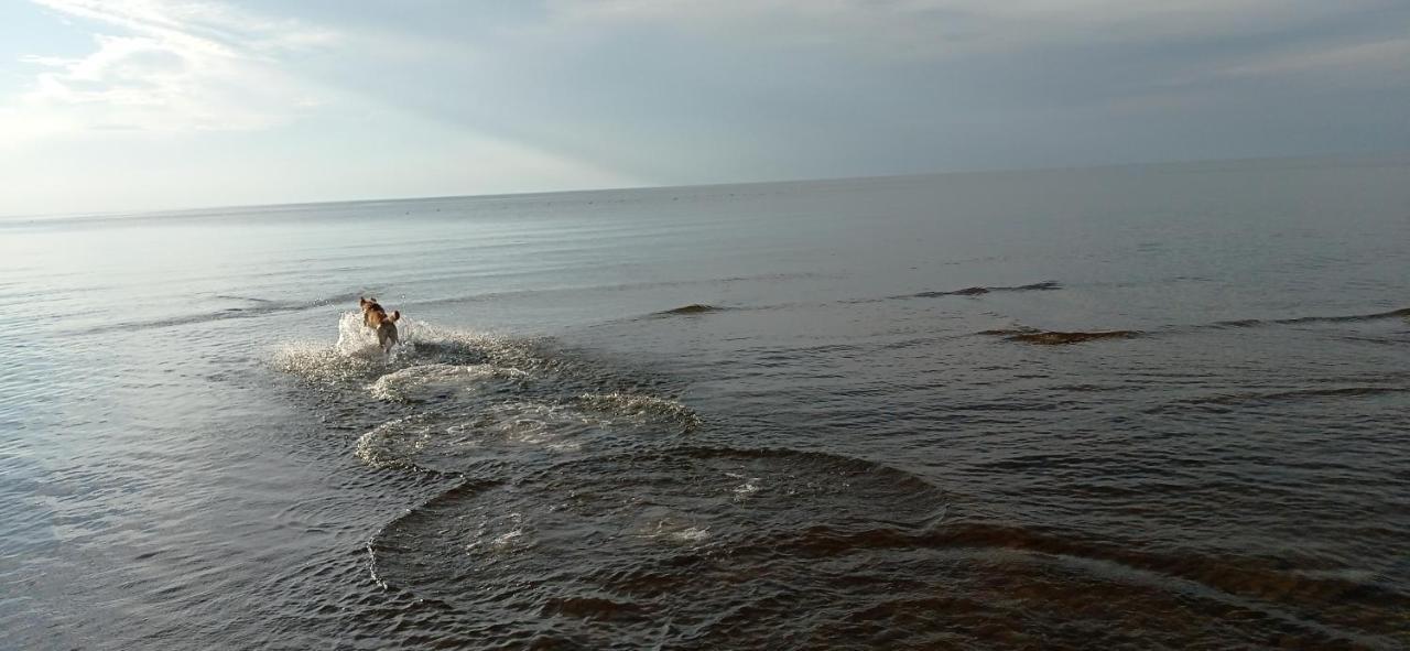 House, Garden & Sauna. Free Parking. Train Stop-200 M. Sea-1 Km. Jurkalne Zewnętrze zdjęcie